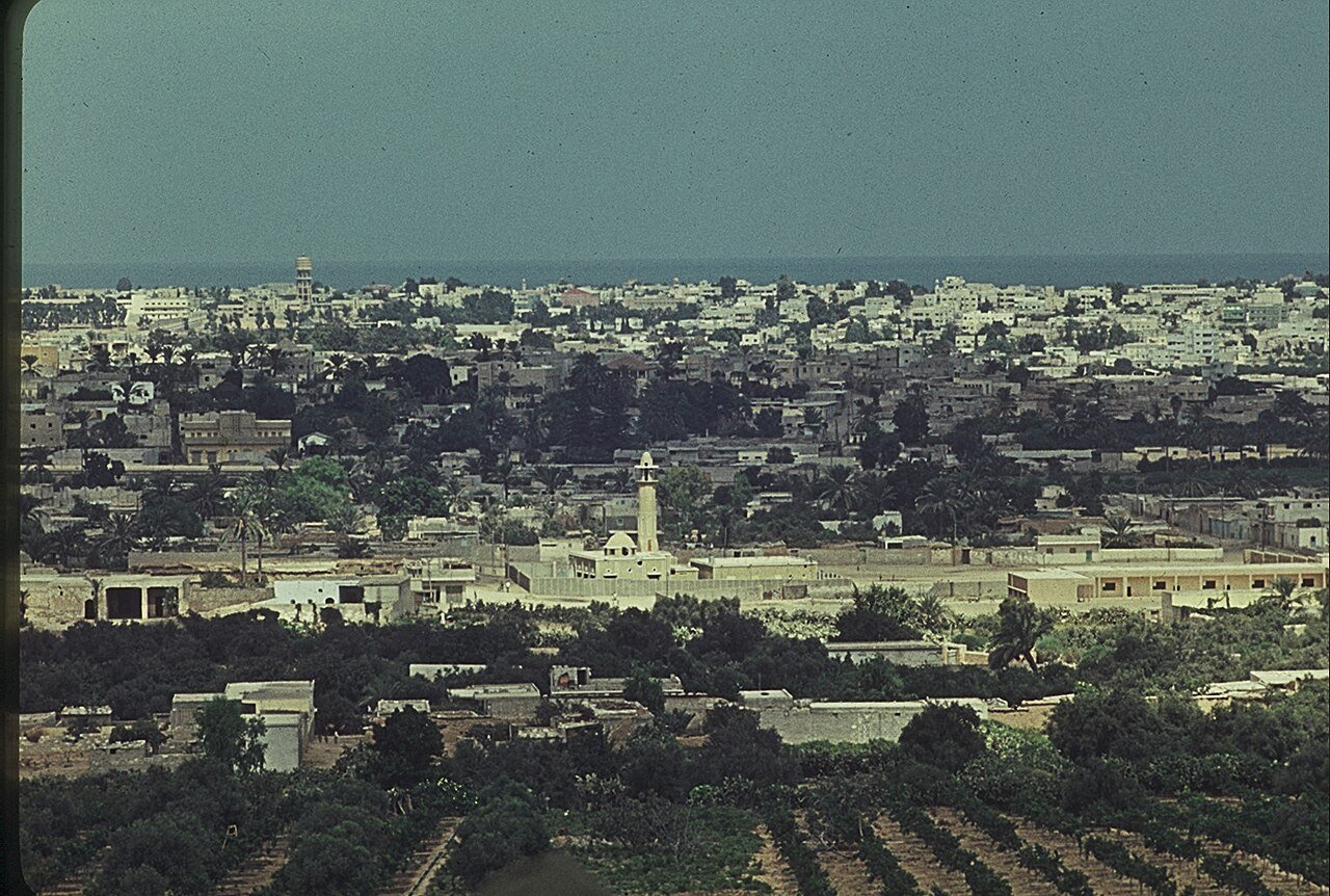 صورة أرشيفية من الزيتون