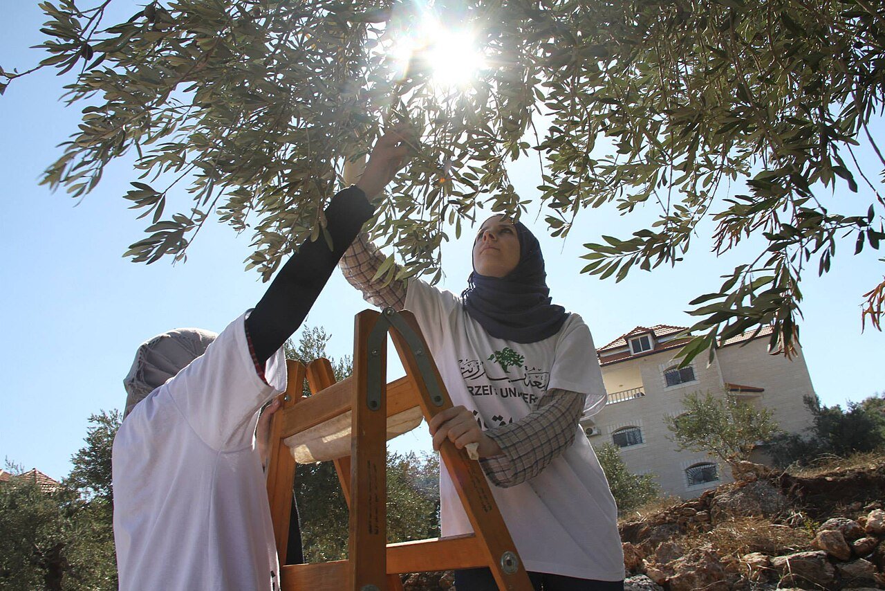 صورة أرشيفية من طوباس