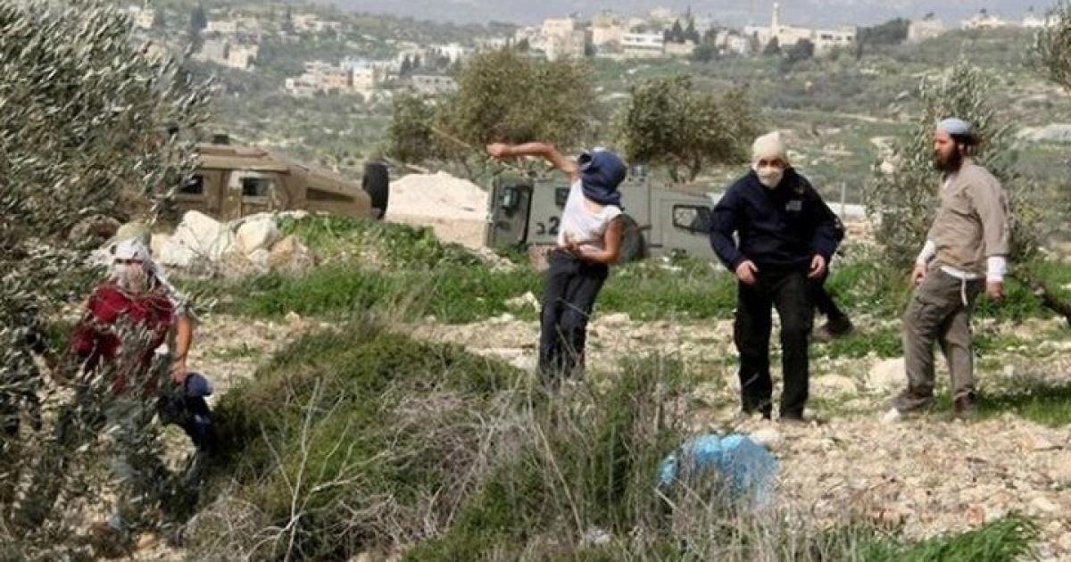 إصابات وتخريب بهجمات مستوطنين على برقا والمغير شرق رام الله