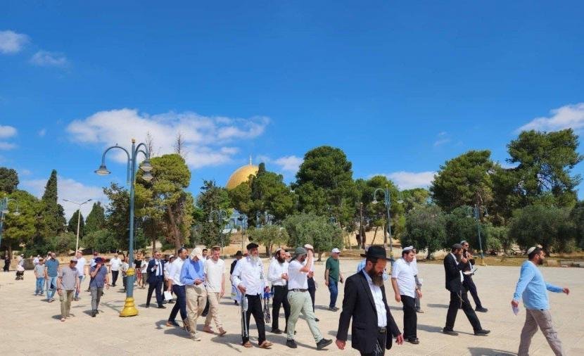 دائرة الأوقاف الإسلامية: 179 مستوطناً اقتحموا باحات المسجد الأقصى