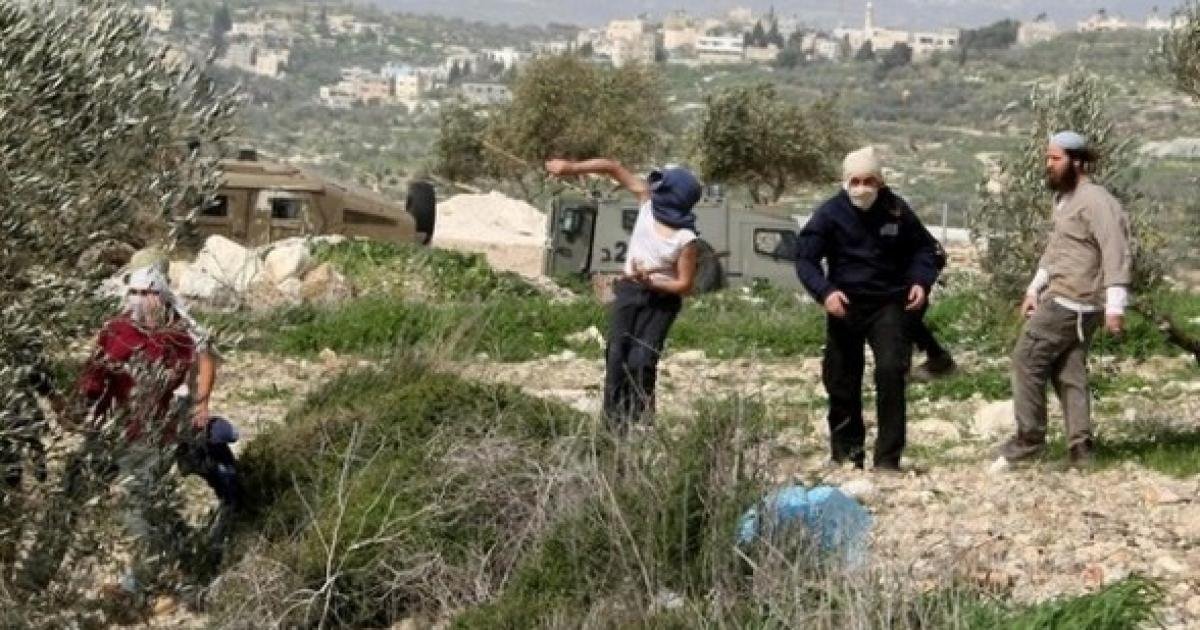 مستوطنون يقتحمون برقا ويوسعون بؤرة استيطانية شرق رام الله