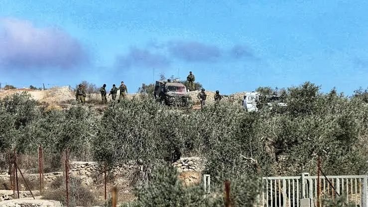 الاحتلال يصادر أراضي زراعية في جيوس ويخطر بمصادرة أراضٍ في إماتين
